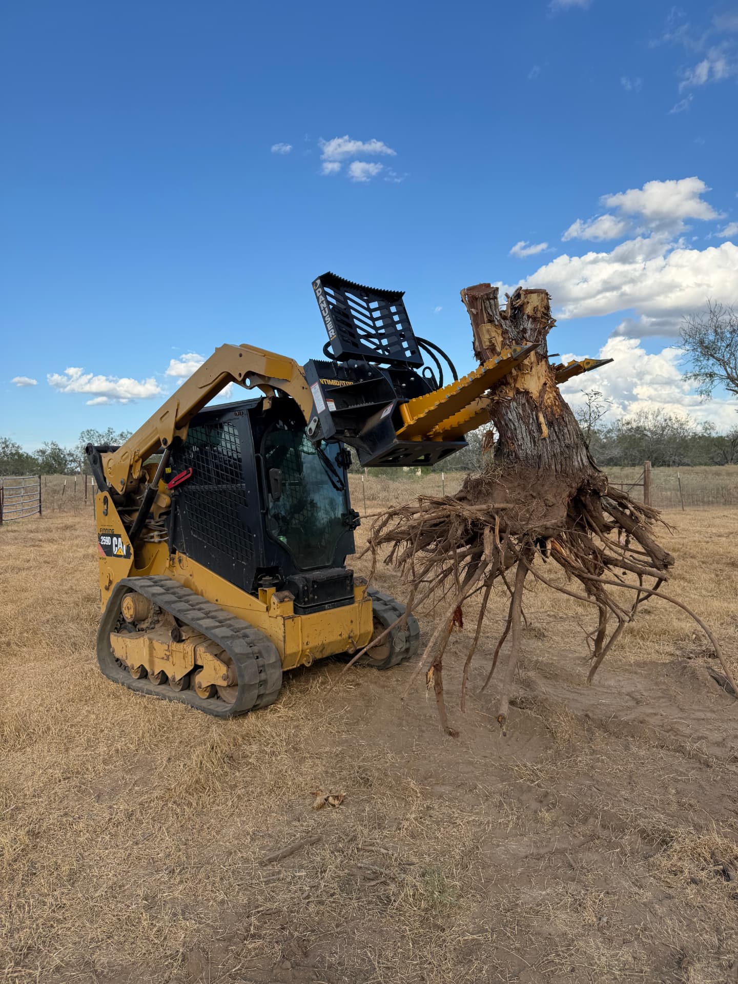 Tree, Stump & Brush Removal — Martinez Ranch & Land Services