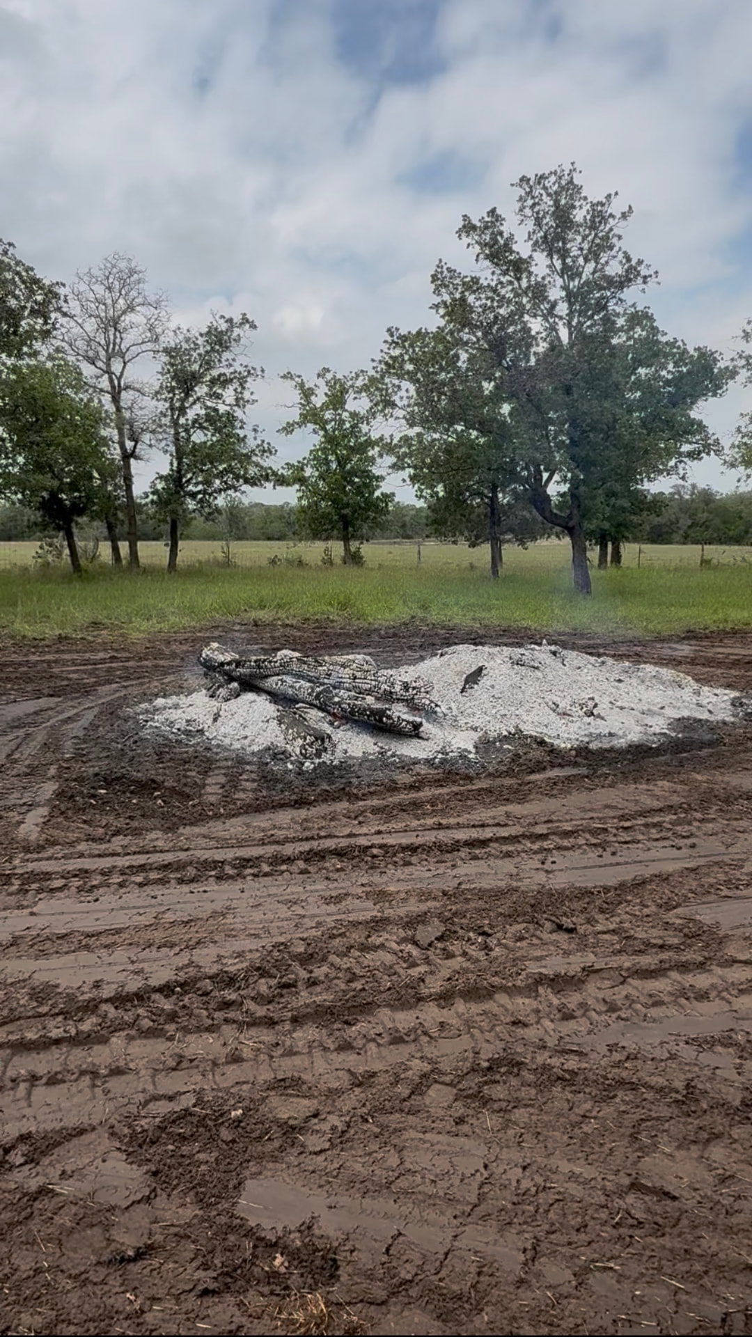 Brush Piling/Burning — Martinez Ranch & Land Services