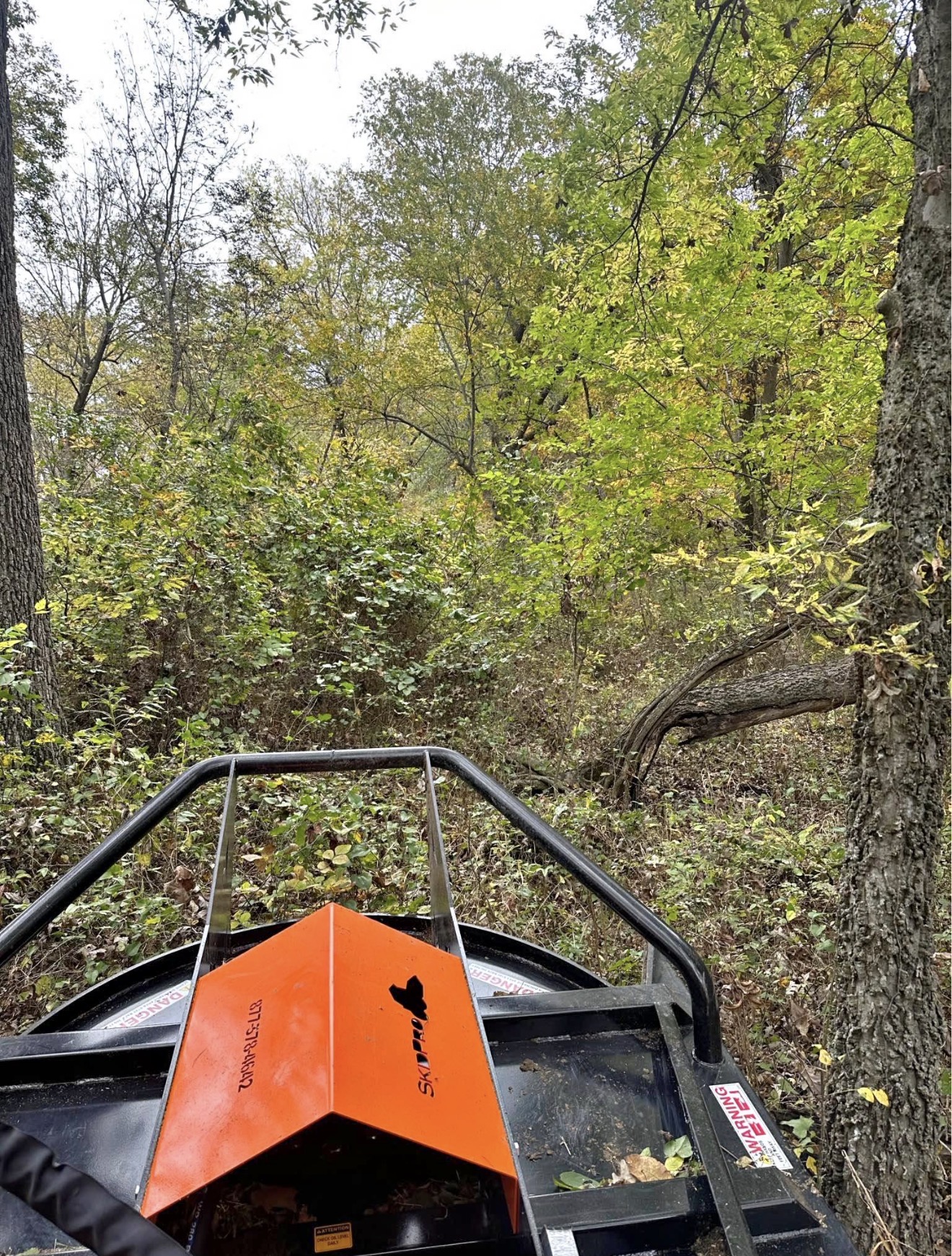 Land/Fenceline/Property Cleanup — Martinez Ranch & Land Services